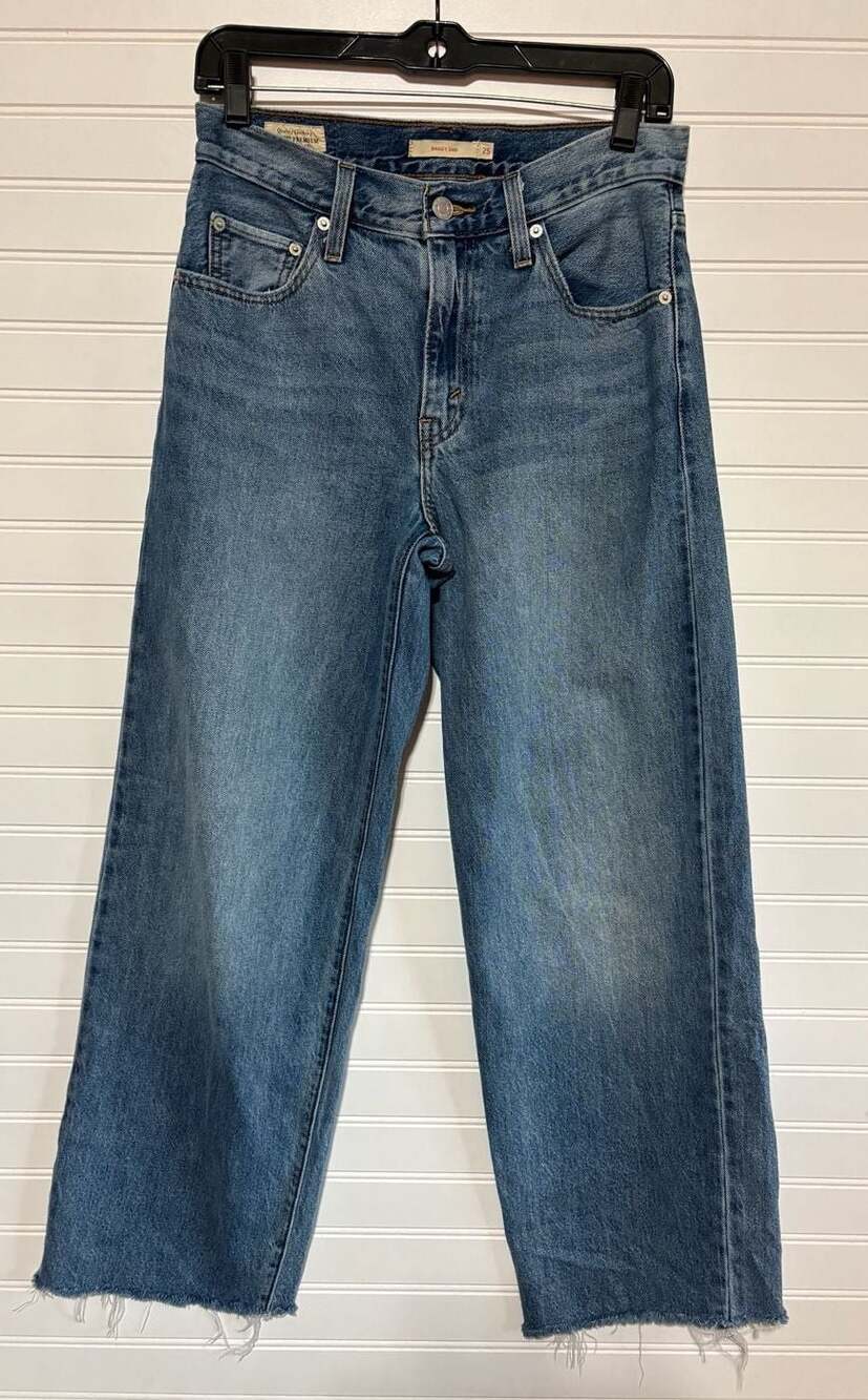 Levi's Premium Baggy Dad Jeans Size 25